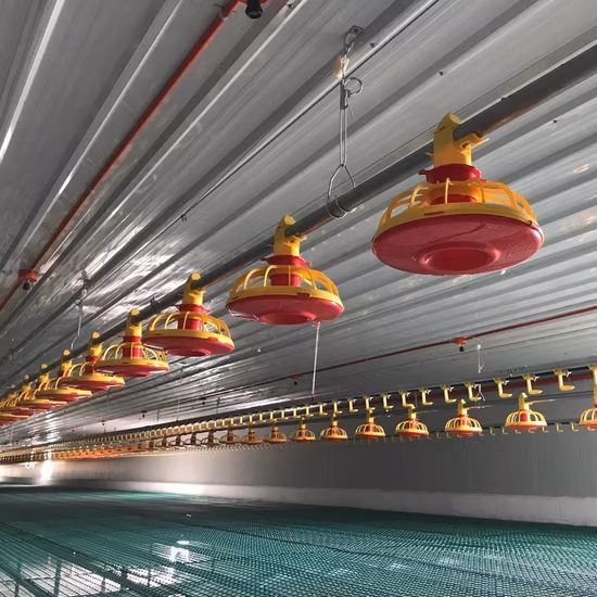 ブロイラー鶏用自動給水ライン装置